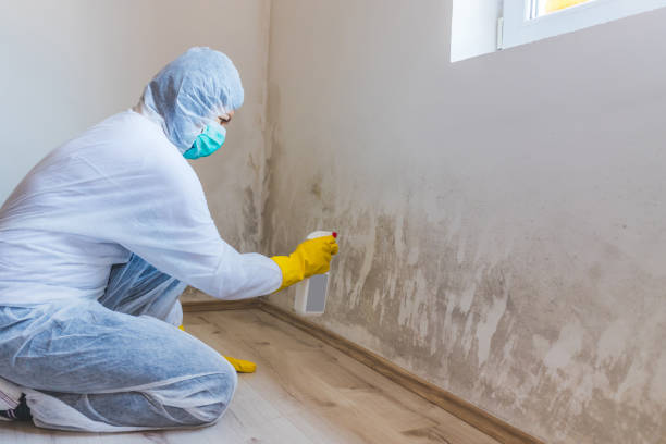 Licensed Crawl Space Mold Removal service in Annandale, VA - WQB Mold Removal