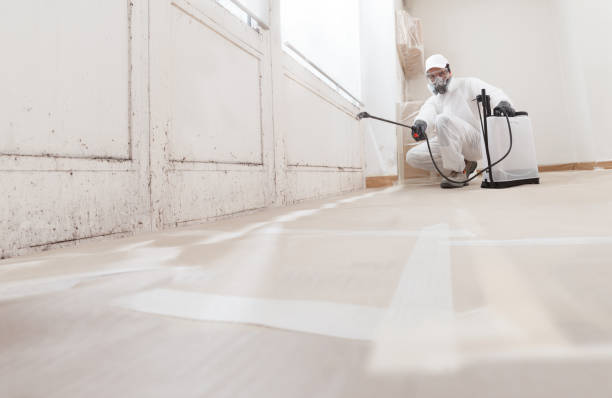24/7 Emergency Crawl Space Mold Removal experts in Annandale, VA