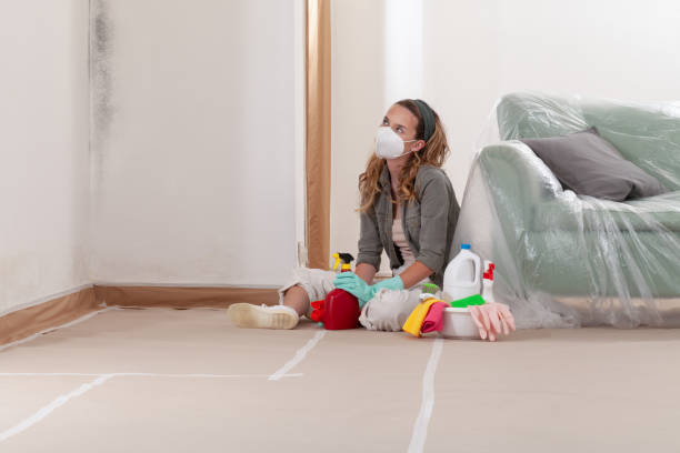 Reliable Crawl Space Mold Removal contractor in Annandale, VA by WQB Mold Removal
