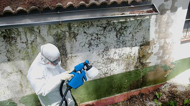 Top rated local Crawl Space Mold Removal specialists in Annandale, VA